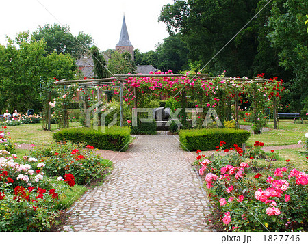 ローズガーデン　オランダ 1827746