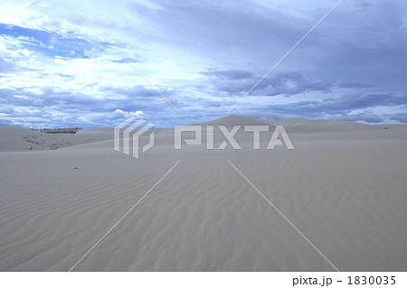 White Dune 1830035