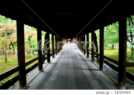 東福寺 通天橋 東福寺 通天橋 1830994