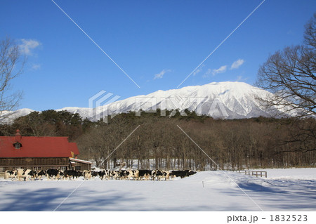 岩手山と小岩井農場 岩手山と小岩井農場 1832523