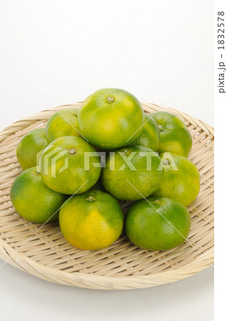 ざるに積んだ青みかん ざるに積んだ青みかん 1832578