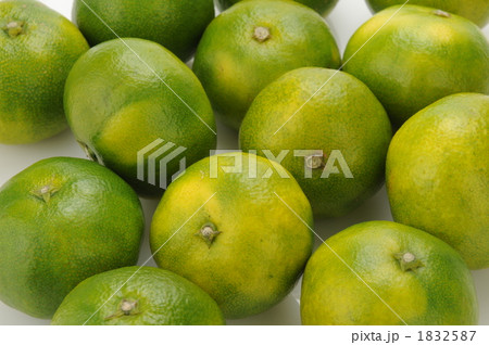 転がる沢山の青みかん 1832587