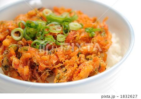 生桜エビのかき揚げ丼のアップ 1832627