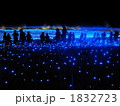 冬のお花畑 1832723