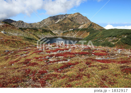 草紅葉のみくりが池 1832917
