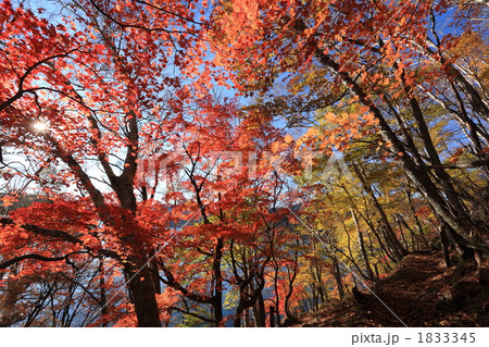 奥日光の紅葉 奥日光の紅葉 1833345