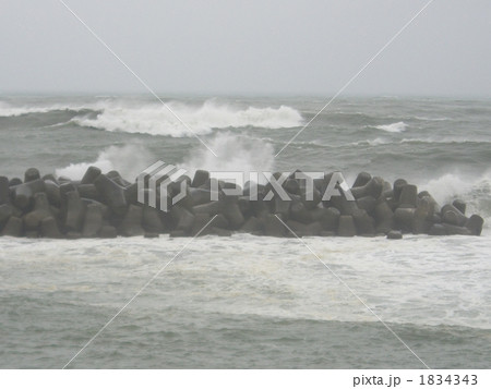 台風の太平洋 1834343