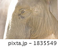 1835549