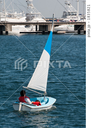 ディンギー 1835821