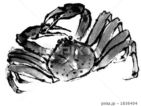カニのイラスト素材 1836404 Pixta