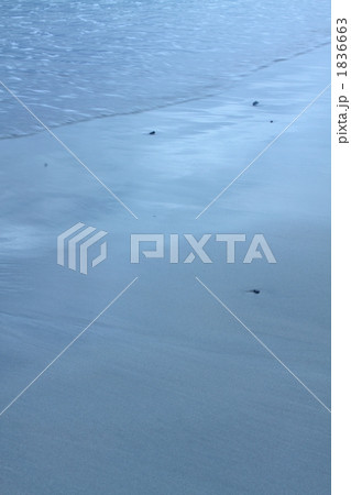 朝の海岸 1836663