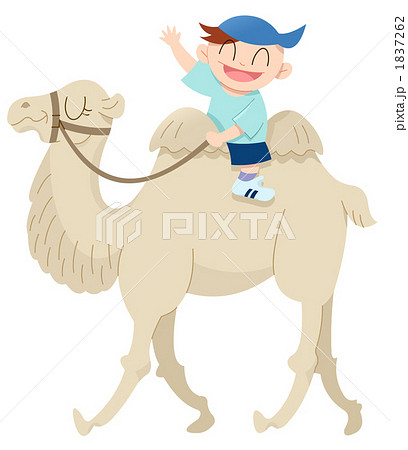 ラクダに乗る少年のイラスト素材