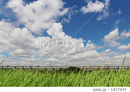 荒川土手と青空 荒川土手と青空 1837845