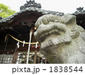狛犬の旅 1838544