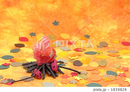 焚火と焼いも 1839826