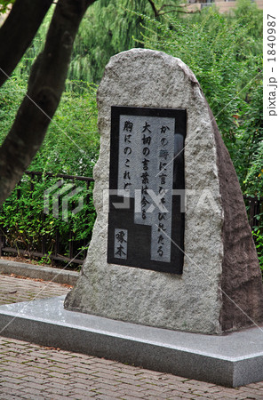 盛岡散歩・啄木であい道 盛岡散歩・啄木であい道 1840987