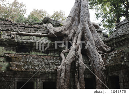 Ta Prohm2 1841876