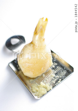 ショウガ ショウガ 1844542