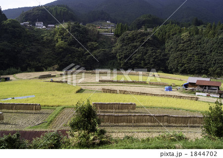 あらぎ島の収穫の秋 1844702