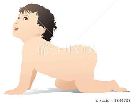 赤ちゃんハイハイ 赤ちゃんハイハイ 1844738