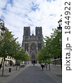 並木ごしのランスの大聖堂 1844922
