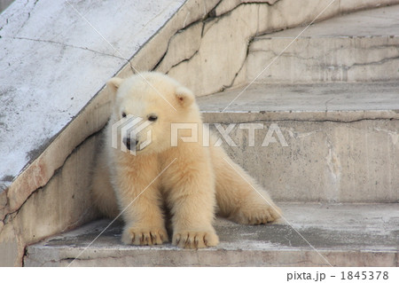 ひとりでさみしい 1845378