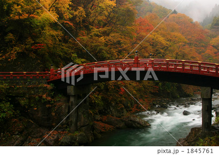 世界遺産「神橋」秋模様 1845761