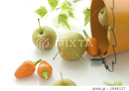 小さい実の飾り 1846127