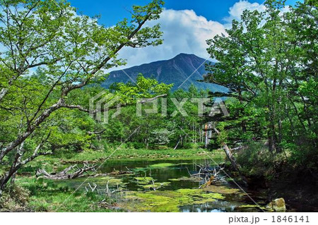 初夏の男体山 湯川 戦場ヶ原 1846141