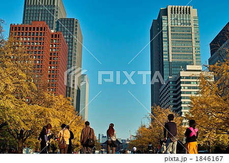 東京　丸の内　紅葉 1846167