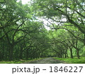 Savannah, Georgia 1846227