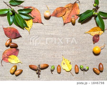 秋イメージのテクスチャ (横カット) 秋イメージのテクスチャ (横カット) 1846798