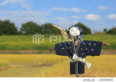 秋の稲穂とかかし 1846900