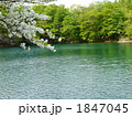 やさしい風 1847045