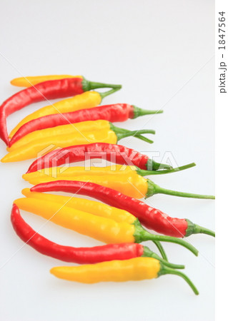 黄トウガラシと赤ナンバン 1847564