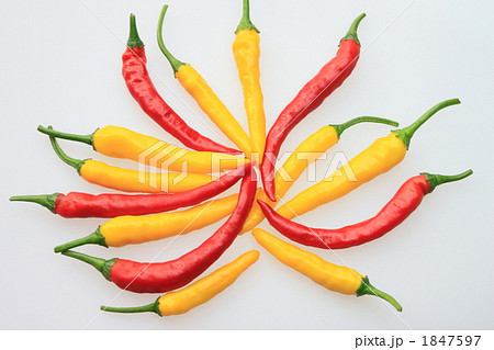 黄トウガラシと赤ナンバン 1847597