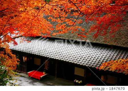 奥嵯峨の紅葉 奥嵯峨の紅葉 1847670