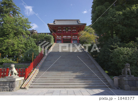 鶴岡八幡宮 1848377