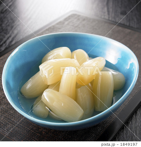 らっきょ1 1849197