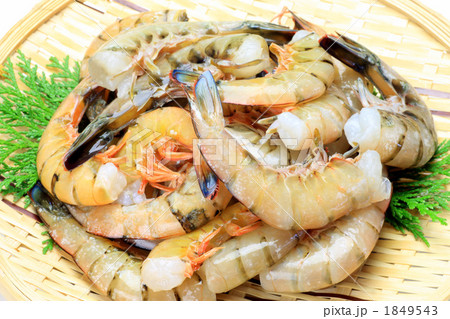 天然エビ 天然エビ 1849543