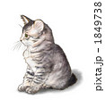 横向きの猫 1849738