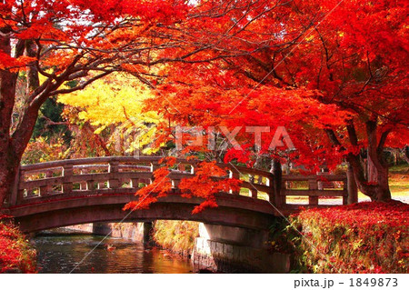 磐梯山麓の紅葉(土津神社) 磐梯山麓の紅葉(土津神社) 1849873