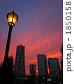 みなとみらいの夕焼けと街灯 1850158