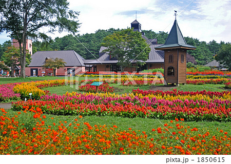 小岩井農場散歩・秋花咲くまきば園 1850615