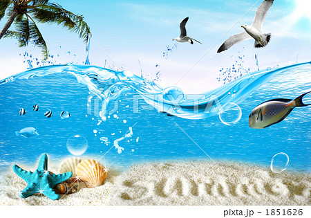 夏海_k_551097 1851626