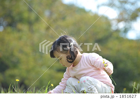 お花摘み お花摘み 1851627