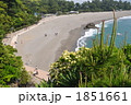 桂浜 1851661