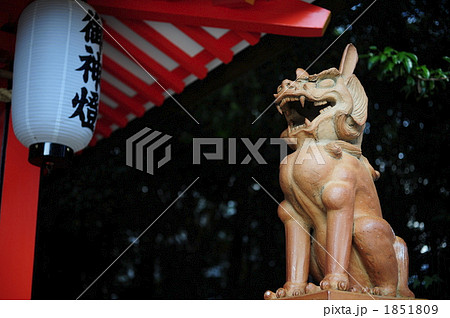 狛犬、阿形 狛犬、阿形 1851809