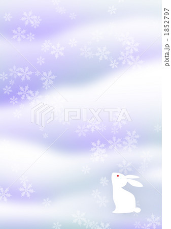 雪原のうさぎ 1852797