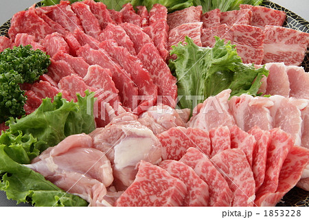 精肉 1853228